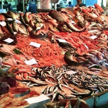 Gaeta: Nuovo mercato del pesce all’ex Canaga