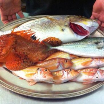 Un brand ad hoc per il pescato di Gaeta: ecco i risultati dell’indagine sul mercato ittico locale