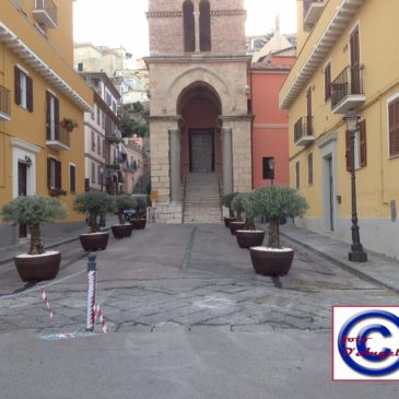 Gaeta: nella Piazza antistante il campanile  arrivano gli Olivi