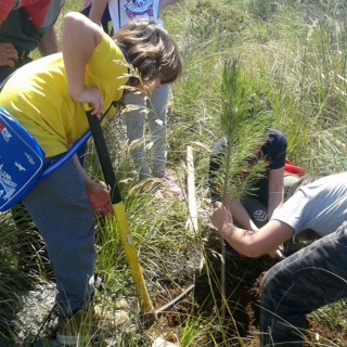 Gaeta: i ragazzi della Carducci “Adottano un albero” a Monte Orlando