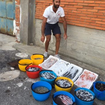 Golfo di Gaeta: vendevano orate, spigole, gamberoni in spiaggia 