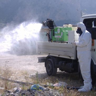 Gaeta deblattizzazione: non inalare, chiudere le finestre e attenzione agli animali domestici