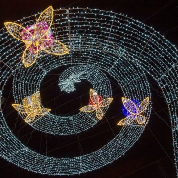 Gaeta: Luminarie, Mercatini, spettacolo fontana e pirotecnico – tutte le info qui