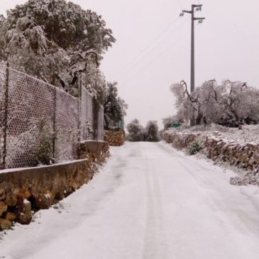 Sud pontino: Allerta meteo e neve a bassa quota da domani