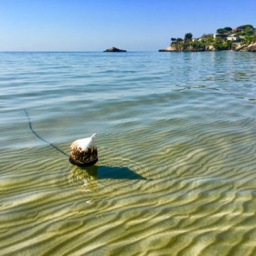 Gaeta: Bandiera Blu per il 2018 obiettivo raggiunto